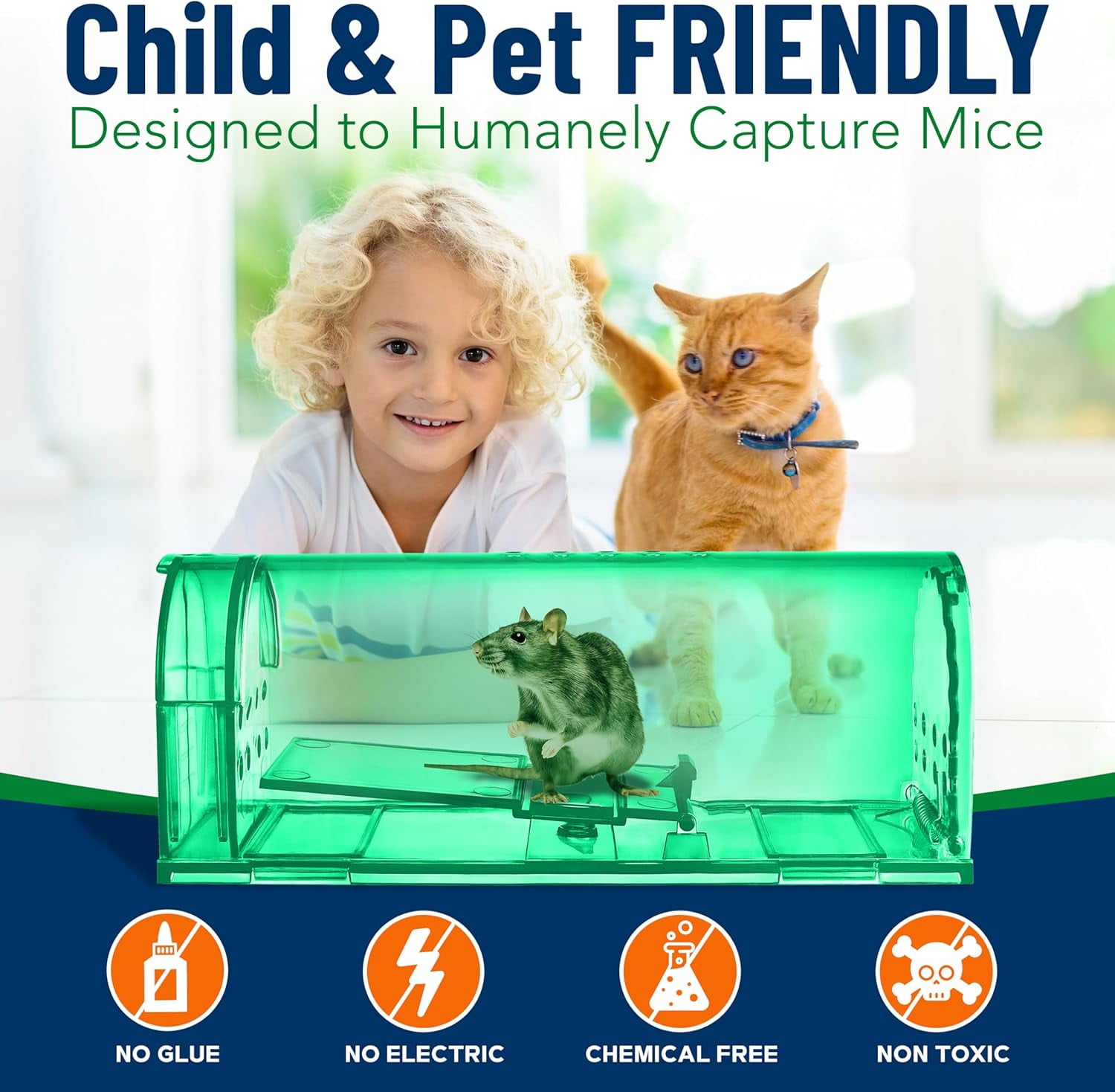 Campior Humane No-Kill Mouse Trap, Large, Indoor, Child & Pet Safe, Easy to Clean, 6-Pack, Green