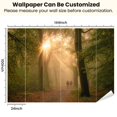 thumbnail image 3 of Peel and Stick Wallpaper sunbeams trees forest path sunrise Cape Forests Utrechtse Heuvelrug Modern Art Wall Mural Decor Self Adhesive and Removable 100in x 144in, 3 of 8