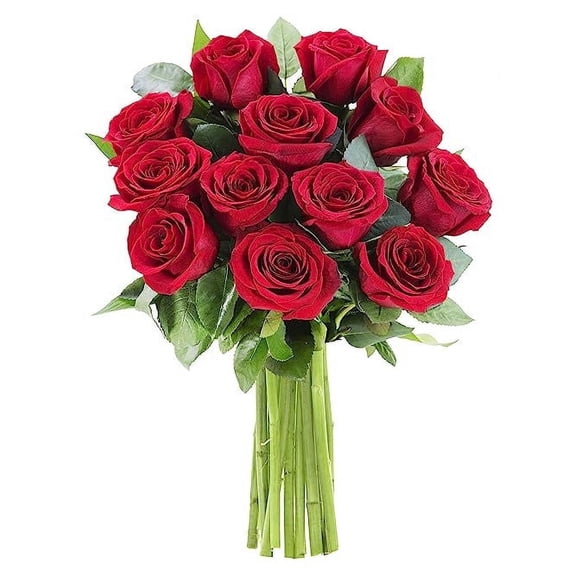 KaBloom : 12 Red Roses, 3 greens, Next-Day Delivery, Gift for Every Occasion.