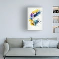 thumbnail image 2 of Trademark Fine Art Mauro  Mystic Fluidity Canvas Wall Art, 2 of 4