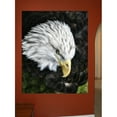 thumbnail image 1 of Wallhogs Batie's Bald Eagle Glossy Poster, 1 of 2