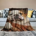 thumbnail image 2 of COMIO  English Bulldog Dog Brown Couch Blanket for Kids Adults Women,Soft Throw Blanket Cozy Bed Blankets King Size for Couch Bed Travel Camping, 2 of 6