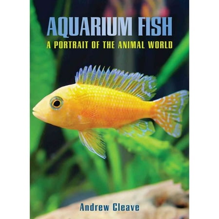 Aquarium Fish A Portrait Of The Animal World Walmart Com