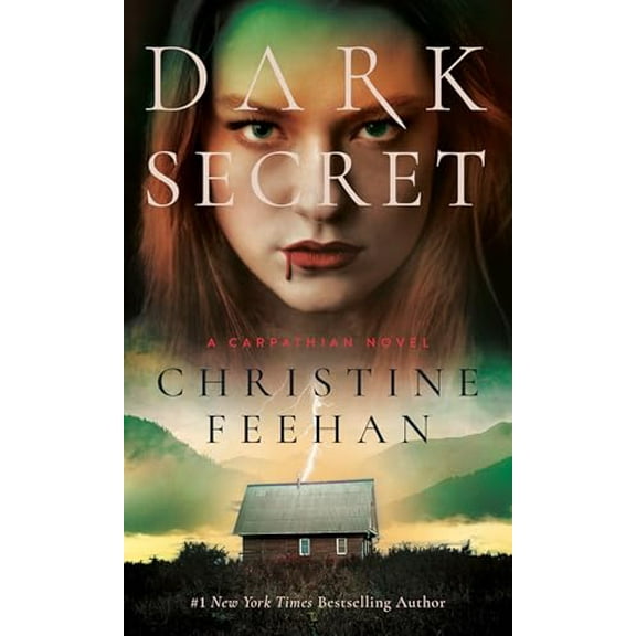 Pre-Owned Dark Secret (Mass Market Paperback) 0515138851 9780515138856