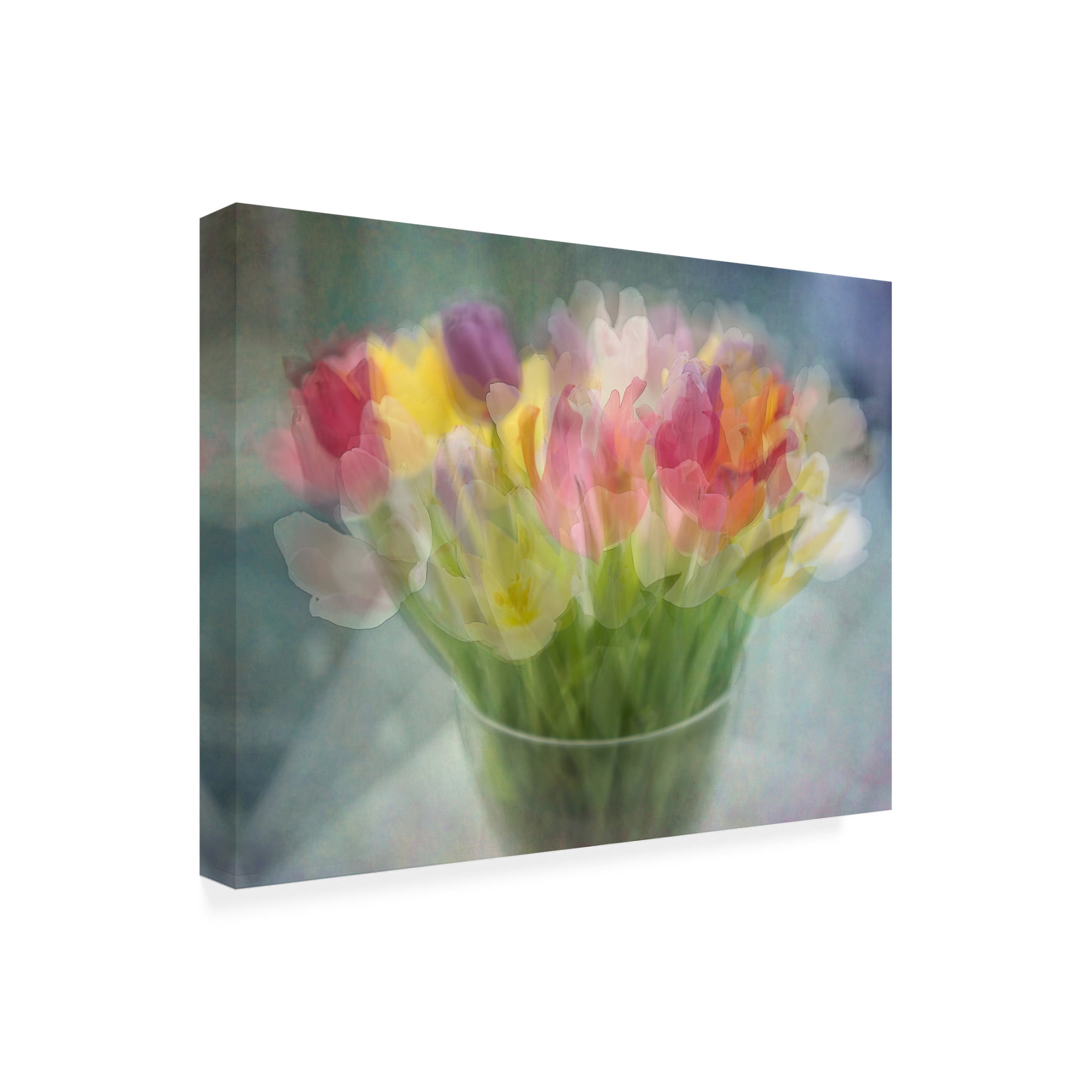 Trademark Fine Art Katarina Holmstrom Tulips Canvas Wall Art