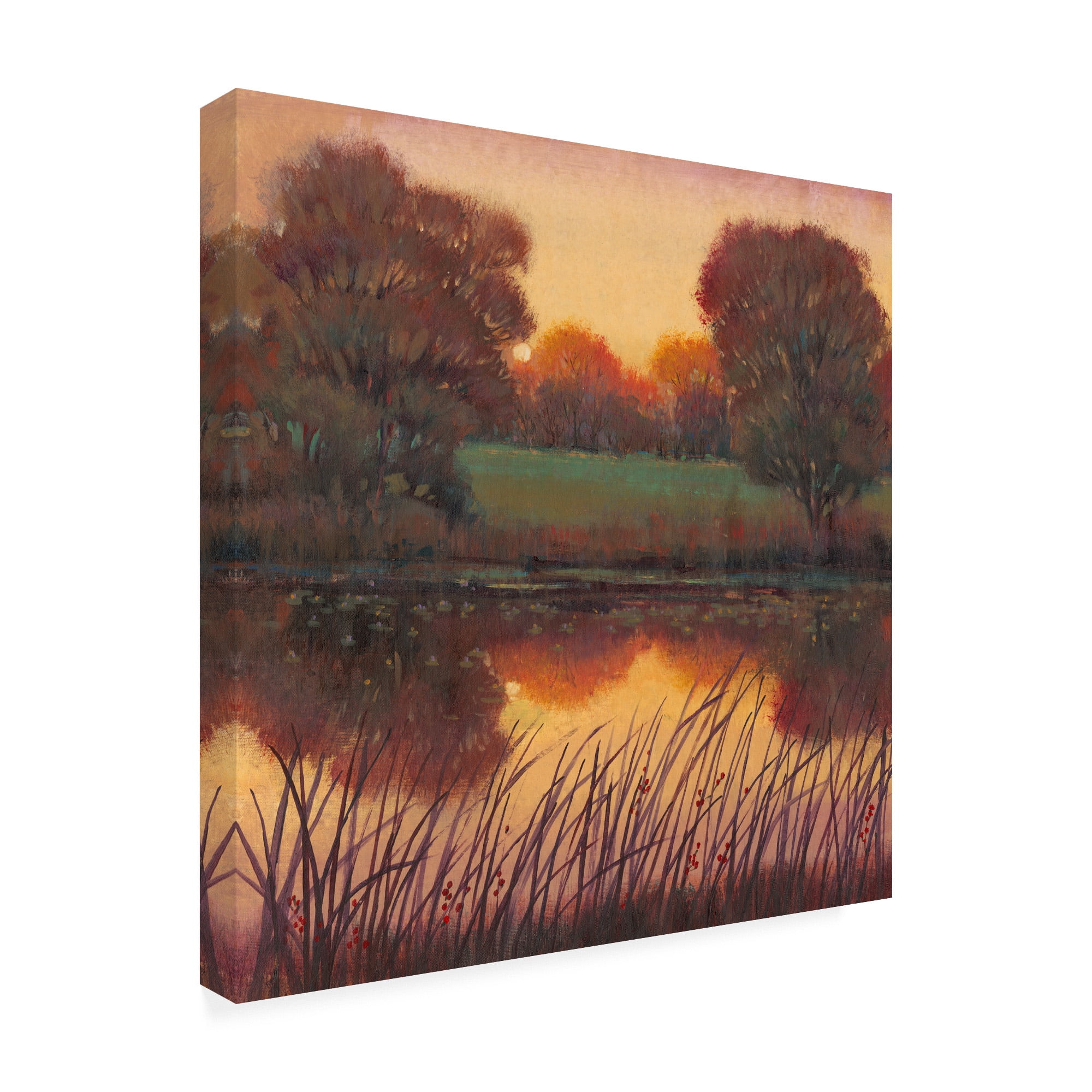 Trademark Fine Art 'Early Evening I Autumn' Canvas Art by Tim OToole