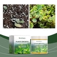 thumbnail image 4 of Precios Especiales y Ofertas Limitadas, Polvo para el crecimiento de plantas, nutrientes complementarios, mejora del suelo, nutrientes para promover el crecimiento de las plantas, 100 g Akmoler, 4 of 9