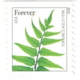 thumbnail image 3 of Ferns USPS Forever Postage Stamp 100 US First Class Fern Plants Wedding Celebration Anniversary Garden (100 Stamps), 3 of 5