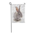 thumbnail image 1 of JSDART Cute One Gray Rabbit Baby Beautiful Beauty Garden Flag Decorative Flag House Banner 12x18 inch, 1 of 1