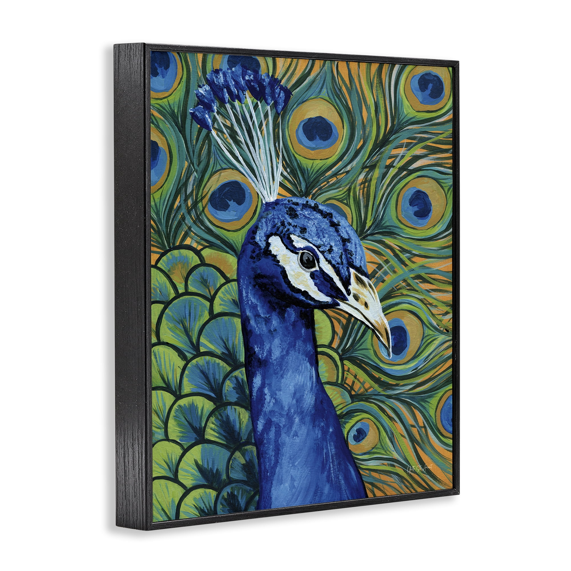 Stupell Industries Bold Peacock Feathers Pattern Animals & Insects Painting Black Framed Art Print Wall Art, 16 x 20