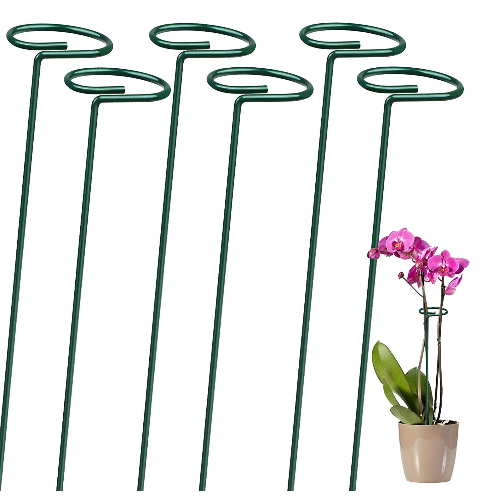 Luxtrada 6PCS Garden Stake Plant Support Ferroalloy Plastic Climbing