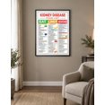 Kidney Disease Food List Illustrated Chart for Kitchen Wall Display ...