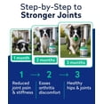 thumbnail image 6 of Glucosamine Chews for Dogs & Picky Eaters - Hip and Joint Chews for Dogs with Chondroitin, MSM & Omega-3 Fish Oil - Dog Supplement for Joint Pain Relief - Chicken Flavor - Made in USA - 180 Count, 6 of 8