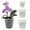 White, variant on 2 Pack Gardening Root Pots Transparent Hydroponic Baskets White S Size