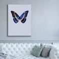 thumbnail image 5 of Epic Graffiti 'Blue Butterfly' by Incado, Giclee Canvas Wall Art, 40"x54", 5 of 8