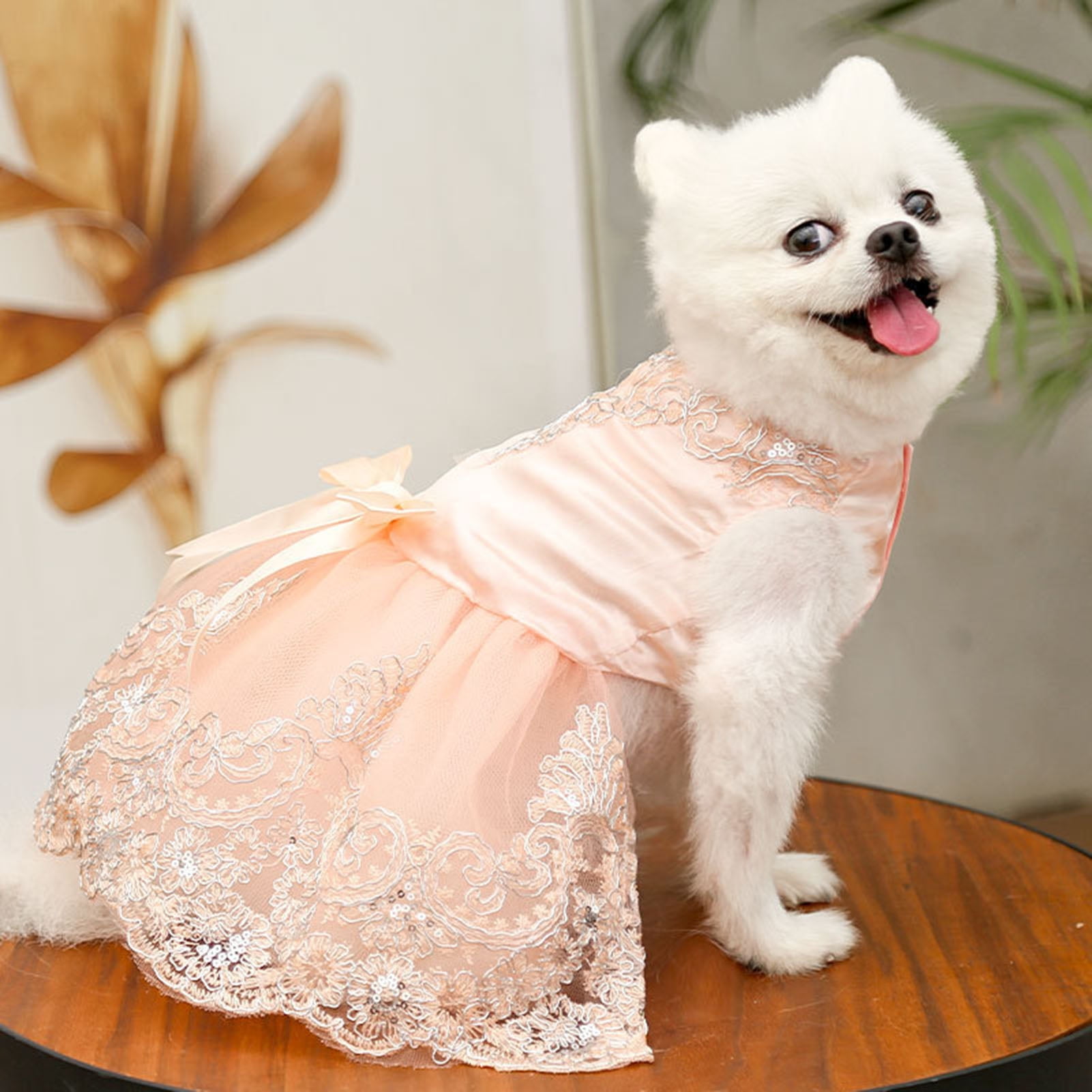 Puppy Prom Dresses