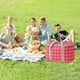 thumbnail image 4 of Bolsa Isotérmica Para Picnic, Bolsa Térmica De Gran Capacidad, Contenedor De Alimentos Portátil Y Hermético, Interior De Aluminio, Ideal Para Camping, Viajes, Playa Y Desplazamientos Diarios., 4 of 8