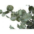 thumbnail image 5 of Monarch Artificial Plant, 35 Tall, Eucalyptus Tree, Indoor, Faux, Fake, Floor, 5 of 6