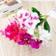thumbnail image 3 of False Flower Realistic Looking 15 Heads Faux Flowers Bouquet Long Service Life Good for Office, 3 of 5