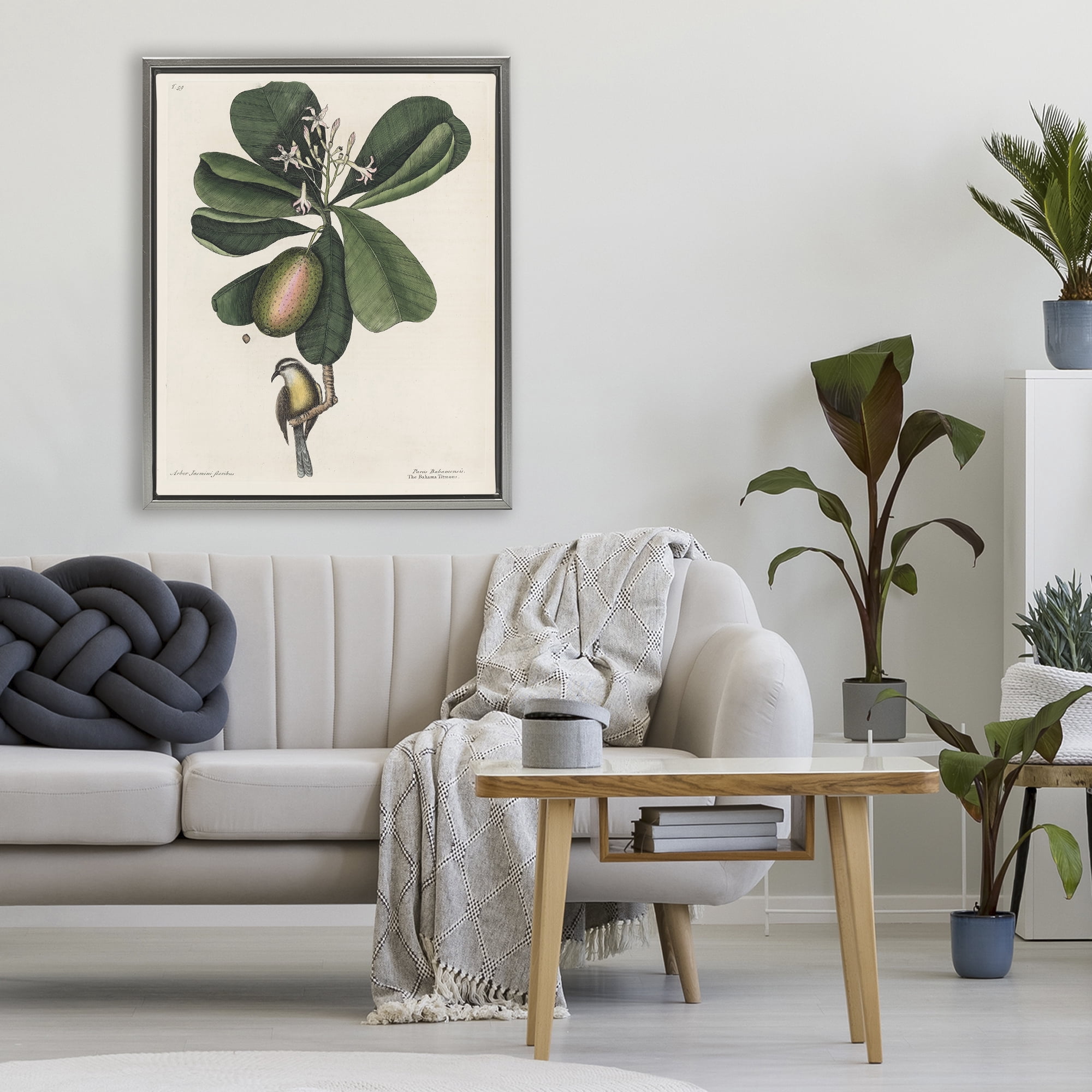 Stupell Industries Catesby Flora & Fauna Gray Framed Floater Canvas Wall Art, design by Print Collection