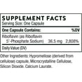 THORNE Riboflavin 5'Phosphate Bioactive Form of Vitamin B2 for Methylation Support 60