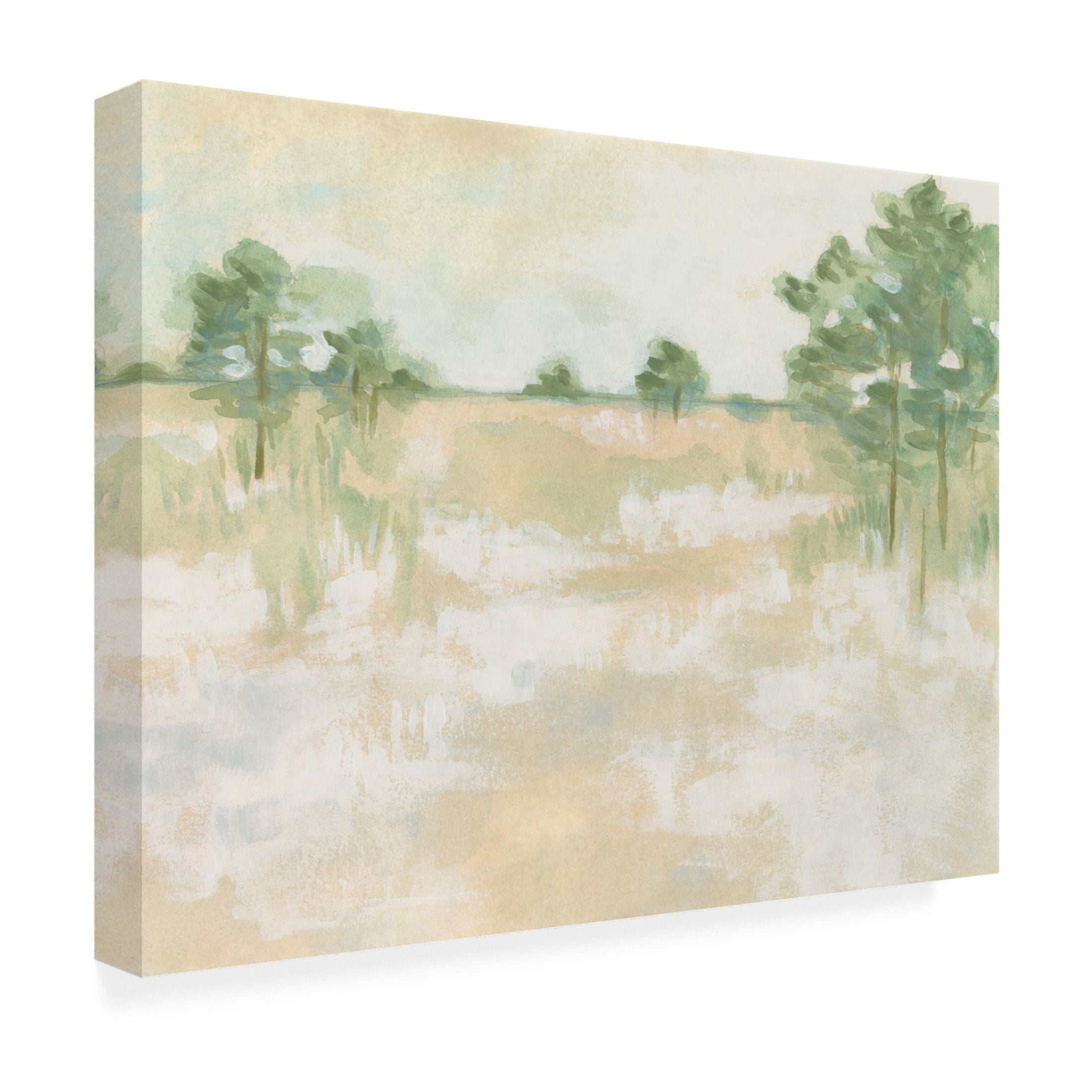 Trademark Fine Art June Erica Vess  Soft Focus Field II Canvas Wall Art