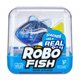 thumbnail image 3 of Peces robóticos nadadores Robo Alive Robo Fish, paquete de 2 unidades, ZURU, 3 of 7