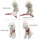 thumbnail image 4 of Arnés para perros, bandolera ajustable con anilla metálica, bandolera acolchada y cómoda para cachorros y perros de razas pequeñas para pasear, rojo, L, 4 of 5