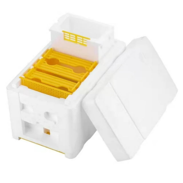 Ruche d'Élevage d'Abeilles Reine Accouplage Ruche Outils d'Apiculture Ruche Mousse Boîte d'Apiculture Ruche Roi Apiculture Fournitures pour Abeilles,Outils Pratiques