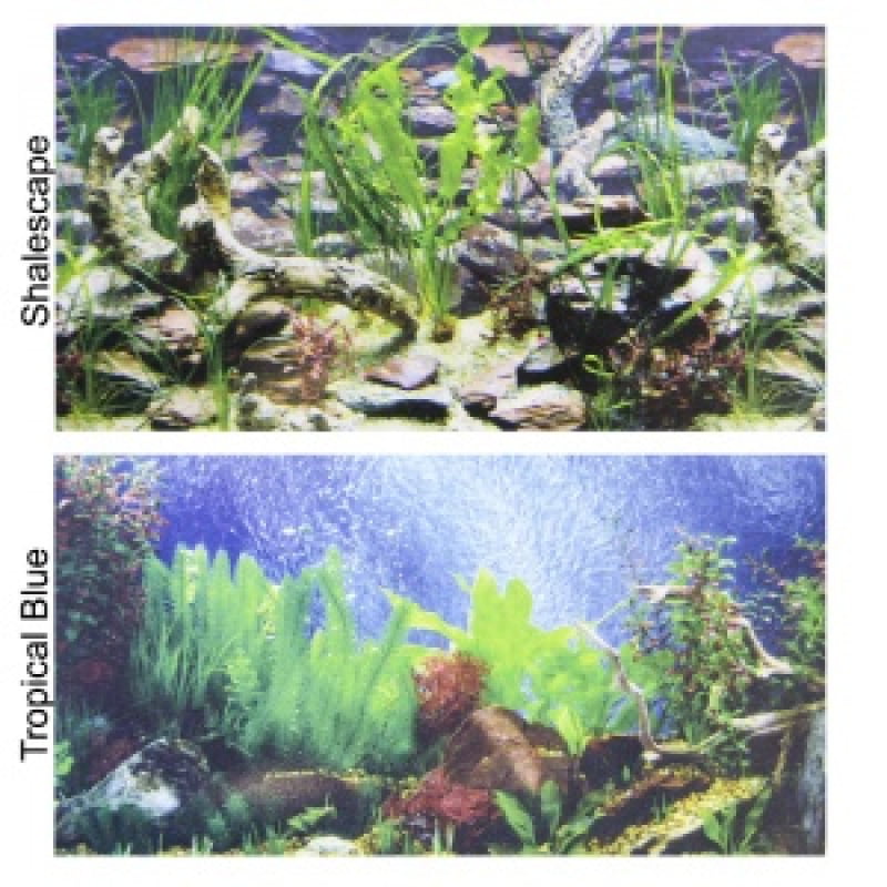 Earth PVC Aquarium Background Poster 3D Fish Tank Decorations Landscape 24 48 72 
