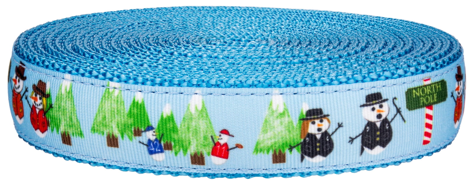 Country Brook Design® 5//8 Inch Ice Blue Heavy Nylon Webbing 50 Yards