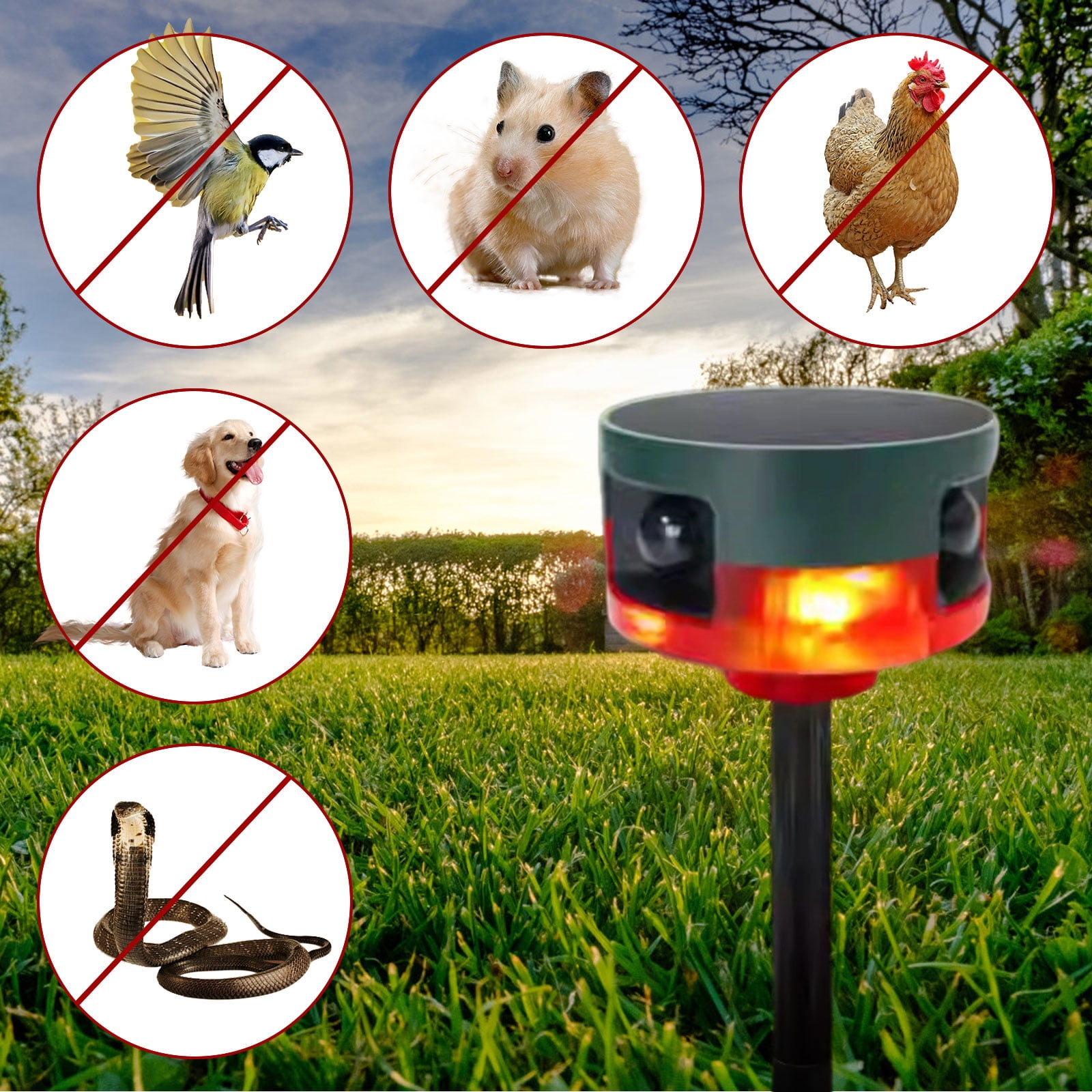 Ultrasonic Animal Repeller , Solar Powered Motion Sensor Pest Deterrent , Waterproof ABS and Green Synthetic Material , Garden Lawn Yard and Farm Wildlife Protection