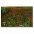 thumbnail image 2 of Trademark Fine Art "The Poppy Field 1896" Canvas Wall Art by Pal Szinyei Merse, 2 of 4