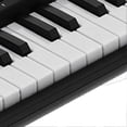 thumbnail image 4 of Keyboard Piano Instrument 61 Keys Electric Multifunctional with USB Cable Microphone MQ6189, 4 of 4