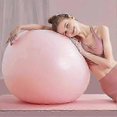 thumbnail image 3 of 55/65/75CM Yoga Ball with Air Pump Anti-slip Physical Therapy PVC Fitness Balance Ball Pregnancy Birthing Ball Gym Workout Stability Ball, 3 of 5