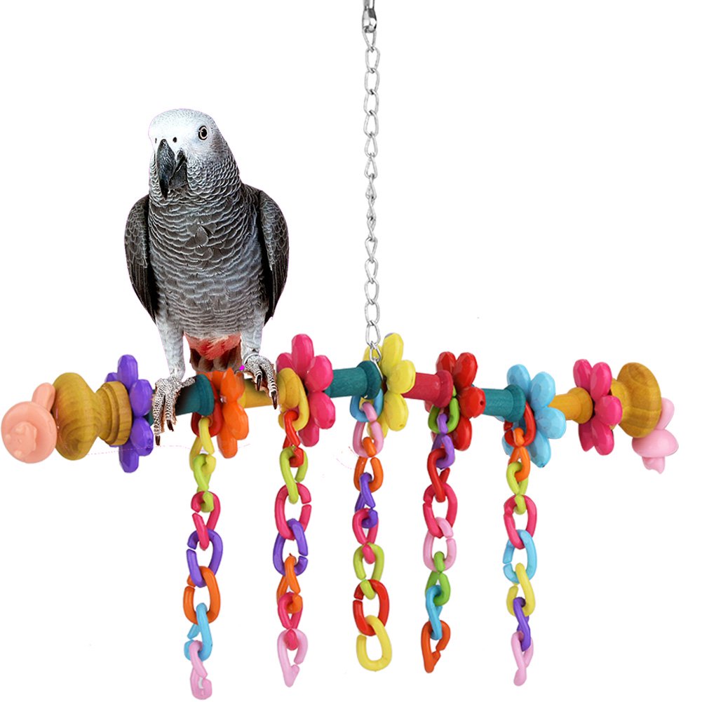 Parrot Toy Supplies Canada Wow Blog