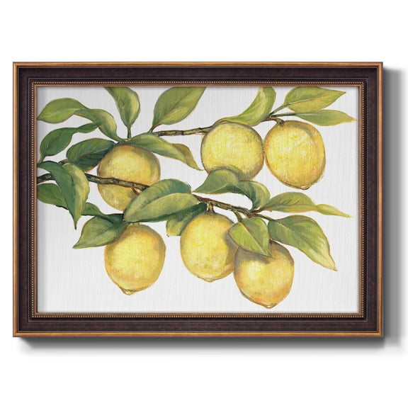 Ripe for Picking II Premium Framed Canvas- Ready to Hang
