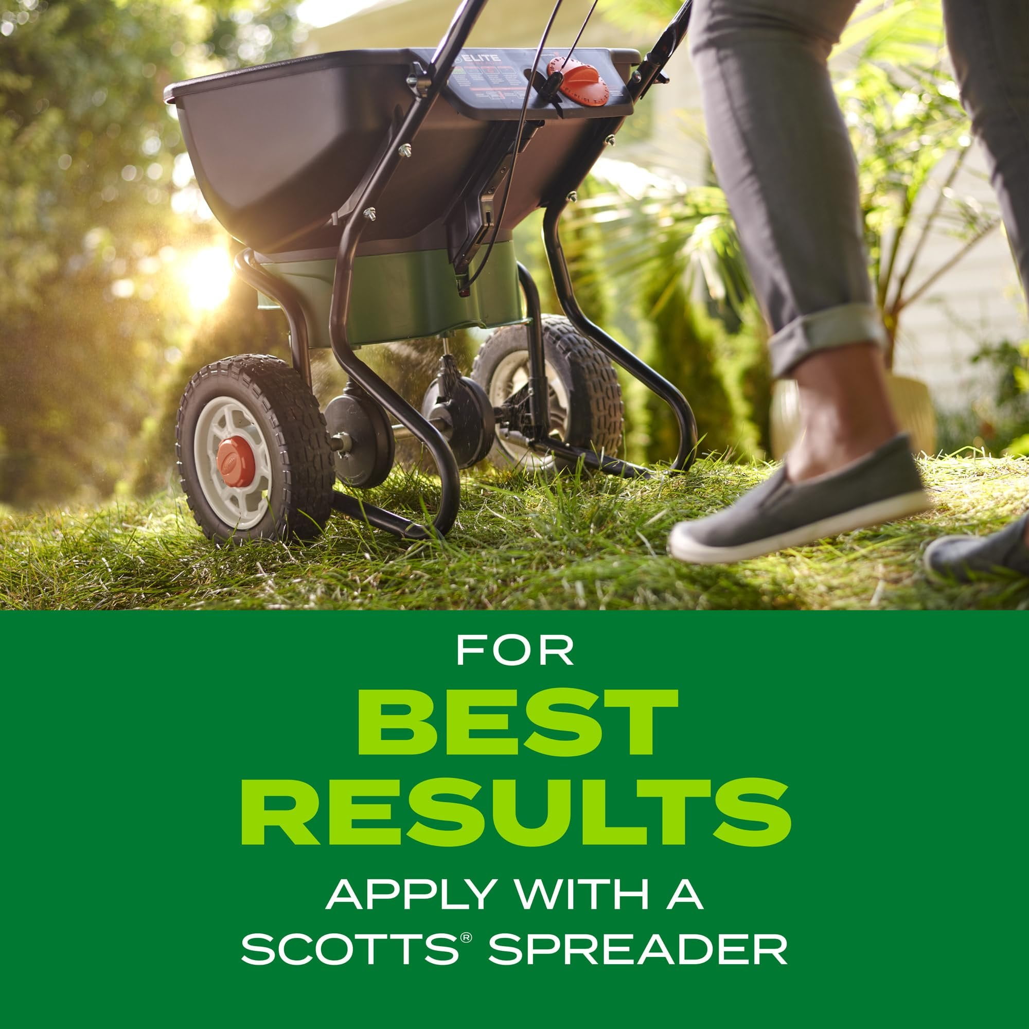 Scotts Co. Scotts Turf Builder Rapid Grass Bermudagrass Seed