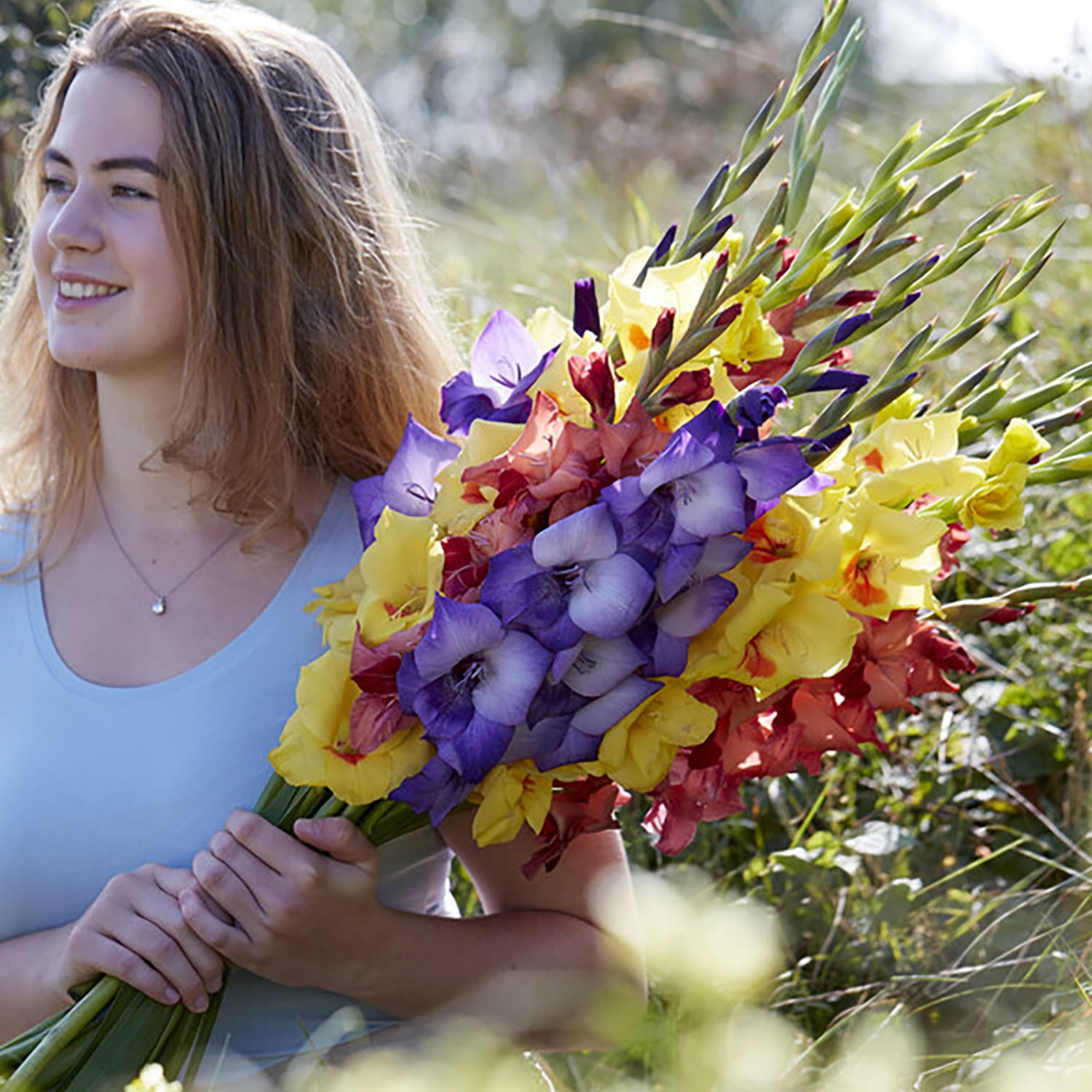 Van Zyverden Gladiolus Large Endless Summer Mix Set of 25 Bulbs Multicolor Partial Sun Perennial Flowering 2 lbs