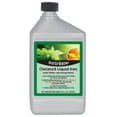 thumbnail image 2 of Ferti Lome Chelated Iron Liquid Plant Food Fertilizer - Synthetic, Outdoor Use - 32 Oz, 2 of 3