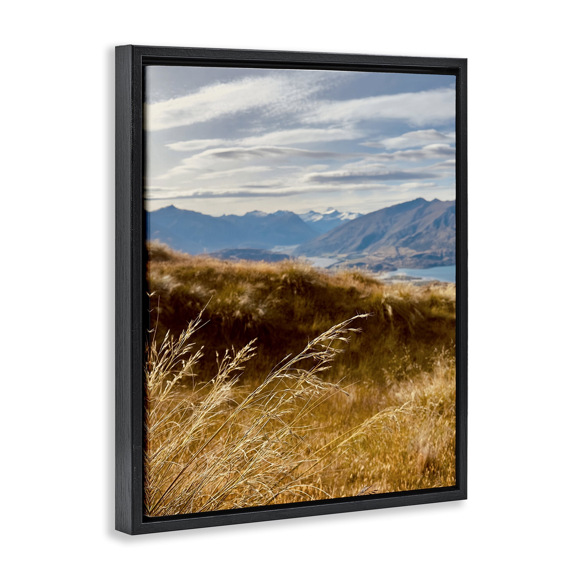 Stupell Industries Windblown Mountain Region Landscape Photography Black Floater Framed Art Print Wall Art, 25 x 31