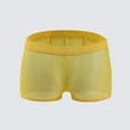 thumbnail image 4 of Men Mesh Boxer Briefs Thin Low Waist Transparent Underwear Pouch Panties, 4 of 9