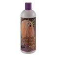 thumbnail image 1 of 1 All Systems Shampooing Nettoyant et Conditionneur pour Animaux de Compagnie, 16 Onces, 1 of 2