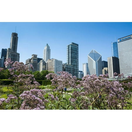 Millennium Park Chicago Christmas Colorful Flowers in the Millennium Park with the Skyline of Chicago, Illinois, Usa Print Wall Art By Michael Runkel ()