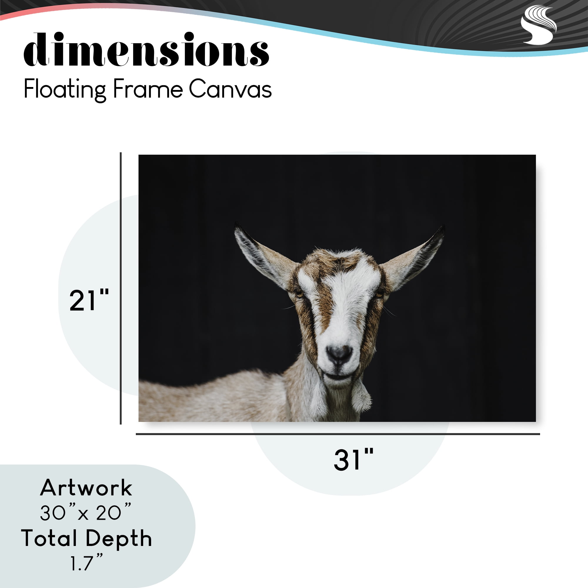 Goat Face over Black Gray Framed Floater Canvas Wall Art, design by Amy Carroll