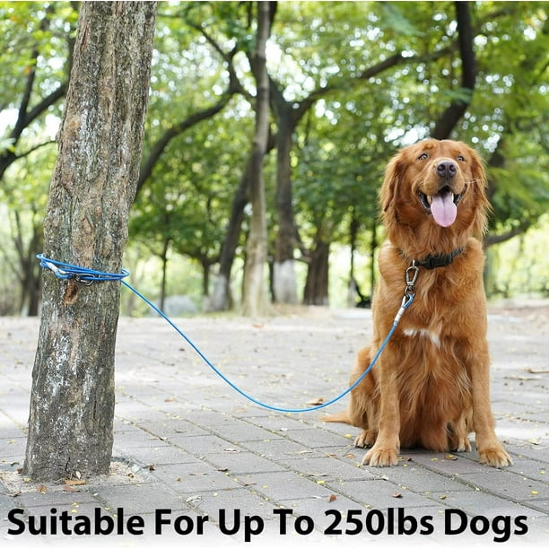 Dog leads for camping online