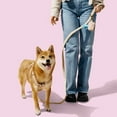 thumbnail image 4 of THE LICKER STORE Teddy Extra Small Bouclé Adjustable H Harness and Leash Walk Set with Poop Bag Pouch, Beige, WLK1000A-4SET, 4 of 8