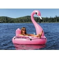 thumbnail image 3 of Pathfinder Flamingo Float, 3 of 4