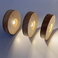 thumbnail image 2 of Bola de cristal LED, luz nocturna, bola de cristal animal, carga USB para decoración artística, 2 of 6