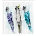 thumbnail image 3 of Ambesonne Birds Shower Curtain, Colorful Tropical Parrots, 69"Wx70"L, Turquoise Purple Grey, 3 of 3